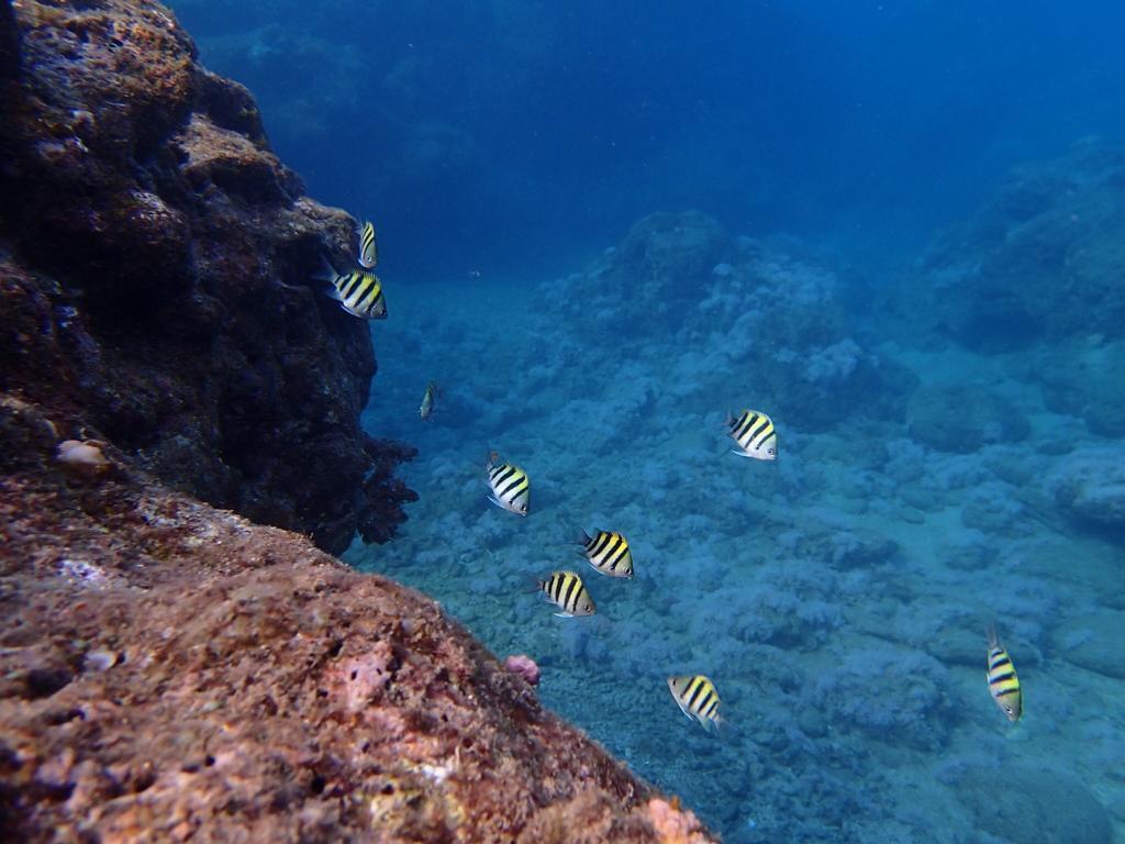 Blue Ocean Sunny Bs Διαμέρισμα Checheng Εξωτερικό φωτογραφία